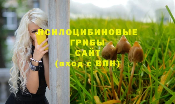 прущие крисы Володарск