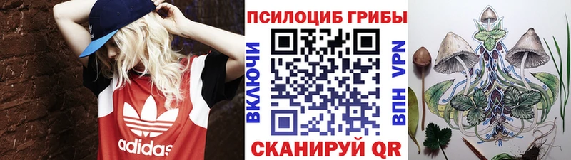 Купить закладки  Сураж  Галлюциногенные грибы ЛСД 